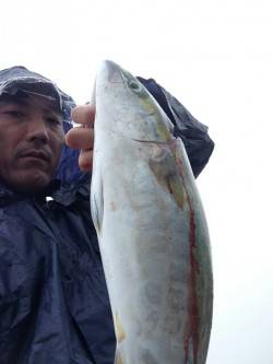 翼港、アジの飲ませ釣りでハマチをキャッチ！…