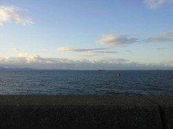 本荘人工島、バイブレーションでサゴシ&ツバス