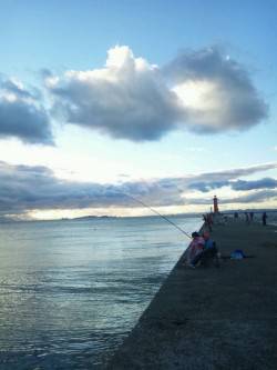 本荘人工島でのワインド釣果