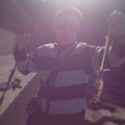 紀伊大島でエギング、一時間ほどで小アオリ1杯