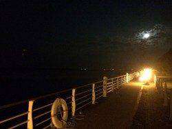 舞洲 朝4時からのワインドで大型タチウオも　ウキ釣りも好釣果の様子