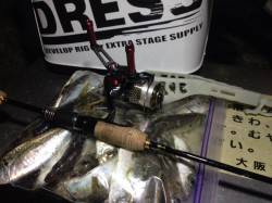 大阪南港でアジング、潮も効いていて一投一匹…