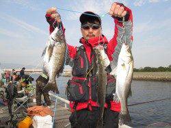 尼崎市魚つり公園、ウキ釣りでチヌ&ハネを30匹!!