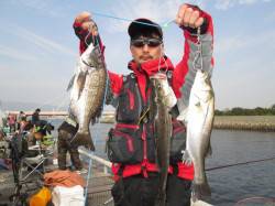 尼崎市魚つり公園、ウキ釣りでチヌ＆ハネを3…