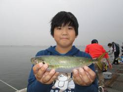 尼崎市魚つり公園　サビキでカタクチイワシ・…