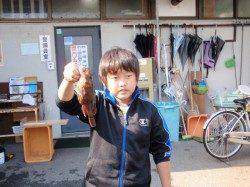 南港海釣り公園　サビキのアジは全体で500匹前後