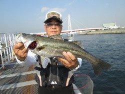 尼崎市魚つり公園、ウキ釣りでハネ8匹とチヌ10匹！！