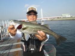 尼崎市魚つり公園、ウキ釣りでハネ8匹とチヌ…