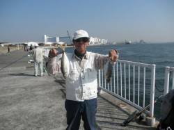 南港海釣り公園、飛ばしウキで29cmのアジ…