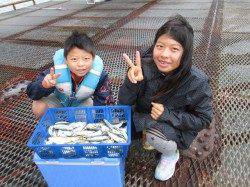 尼崎魚つり公園のサビキ　アジ・サッパの他なんとハネも！