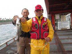 尼崎魚つり公園のサビキ　アジ・サッパの他なんとハネも！