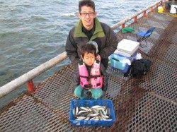 尼崎市魚つり公園でズボ釣り　ハネにセイゴに大漁でした♪