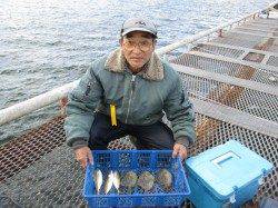 【アジ狙いならベタ底で】尼崎市魚つり公園でサビキ・ズボ釣り