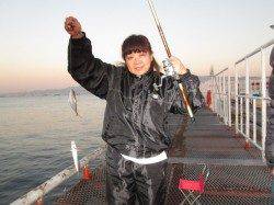 サッパ入れ食い！アジも回遊しています。尼崎市魚つり公園