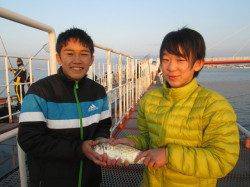 尼崎市魚つり公園でフカセチヌ、サビキは不安定です;