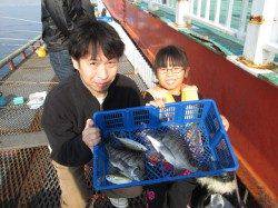 尼崎市魚つり公園でフカセチヌ、サビキは不安定です;