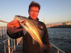 シラサのウキ釣りでハネ・セイゴ　〜尼崎市魚つり公園〜