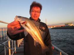 シラサのウキ釣りでハネ・セイゴ　〜尼崎市魚…