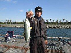 シラサのウキ釣りでハネ・セイゴ　〜尼崎市魚つり公園〜