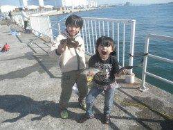 南港海釣り公園　今日はアジ大漁釣果