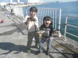 南港海釣り公園　今日はアジ大漁釣果