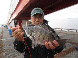 ズボ釣りでロウニンアジとセイゴ　本日は午後から雨でした