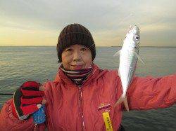 尼崎市魚つり公園　アジ・セイゴ・チヌなどで魚種多彩