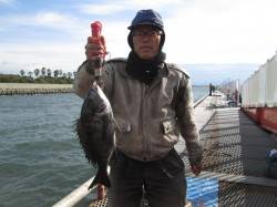 尼崎市魚つり公園、本日もセイゴにチヌがシラ…