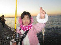 尼崎市魚つり公園　セイゴ・チヌ数出てます