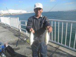 南港海釣り公園　アジ・ガシラ・アナゴ楽しめる