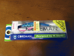 姫路西部、ショアジギングでサゴシの釣果