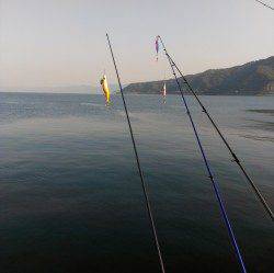 敦賀新港ショアジギングでサゴシ