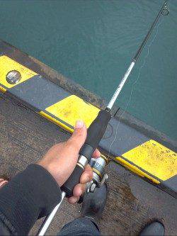 香住西港　アジングのアジ狙いはサビキに完敗…