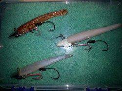 舞洲ワインド　パールホワイトが好調？