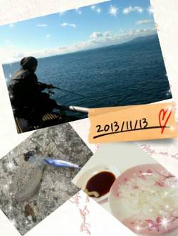 新浜漁港でエギング、コウイカの釣果