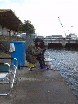 舞洲のアジングでガシラの釣果