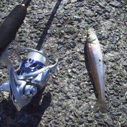 垂水まで少し遠征してデイアジング