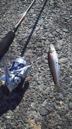 垂水まで少し遠征してデイアジング