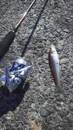 垂水まで少し遠征してデイアジング