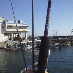 垂水まで少し遠征してデイアジング