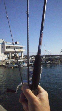 垂水まで少し遠征してデイアジング