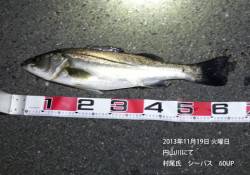 フローティングミノーでシーバス60UP！円…