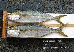 竹野でヒラマサ62㎝