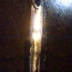 兵庫突堤でワインド、タチウオ指３本半