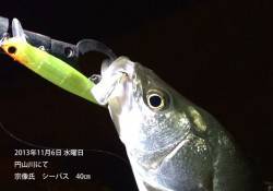 【6日】円山川でルアーゲーム、シーバス&a…