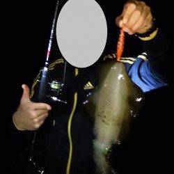 東二見で570gのナイスサイズのアオリイカ♪