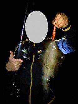 東二見で570gのナイスサイズのアオリイカ♪