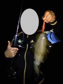 東二見で570gのナイスサイズのアオリイカ…