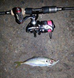 舞洲でのアジング、今晩は少し渋め