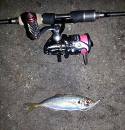 舞洲でのアジング、今晩は少し渋め